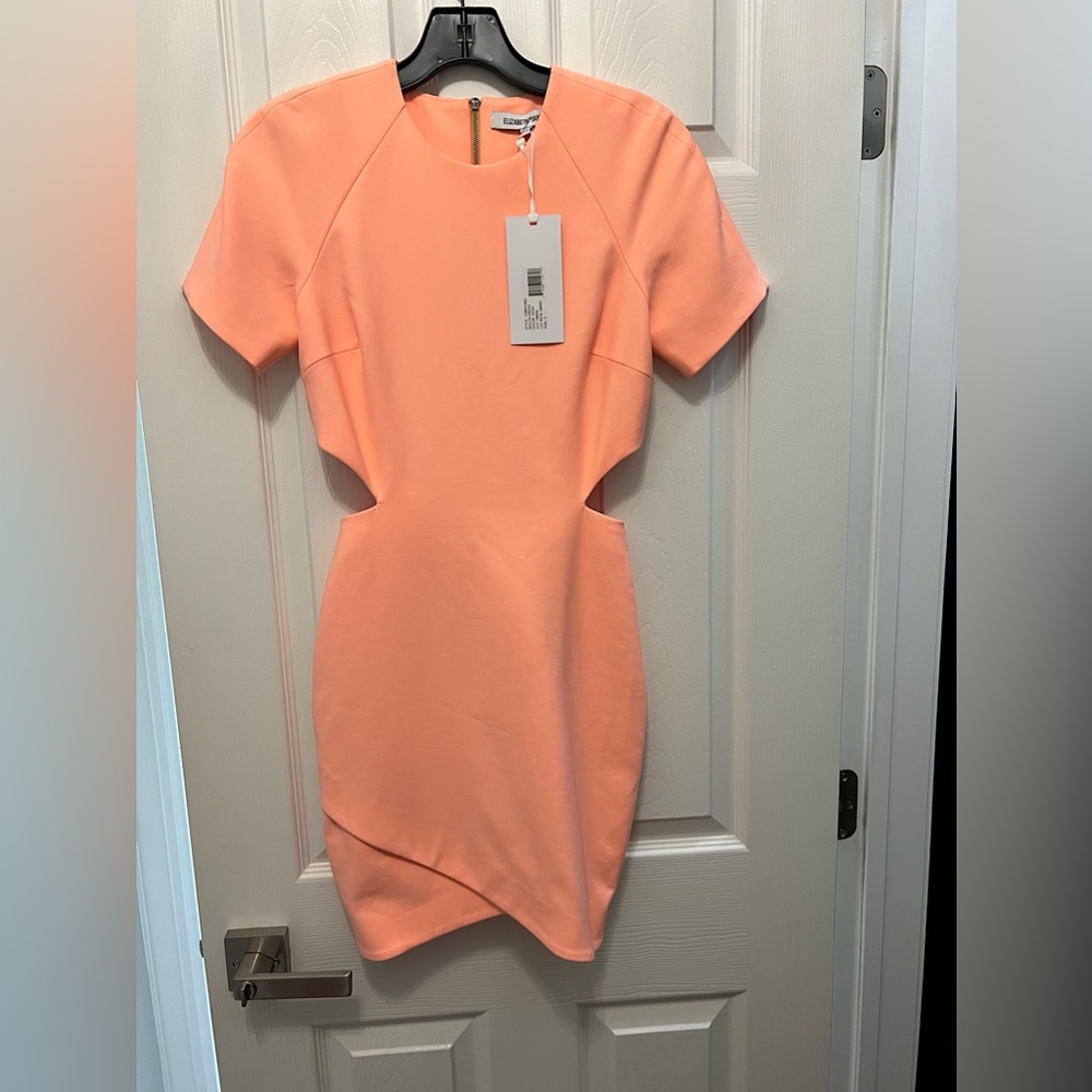 Brand new with tags Elizabeth and James skylyn dress color npea size 2